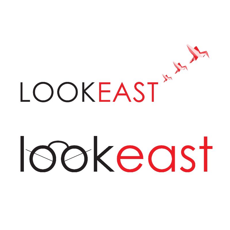 Look East Logo Development Cover Photo - The Bull Collective