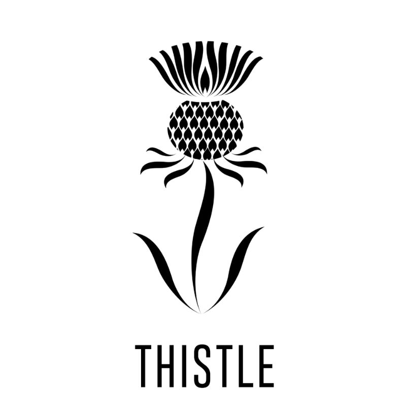 Thistle Cover Photo - The Bull Collective