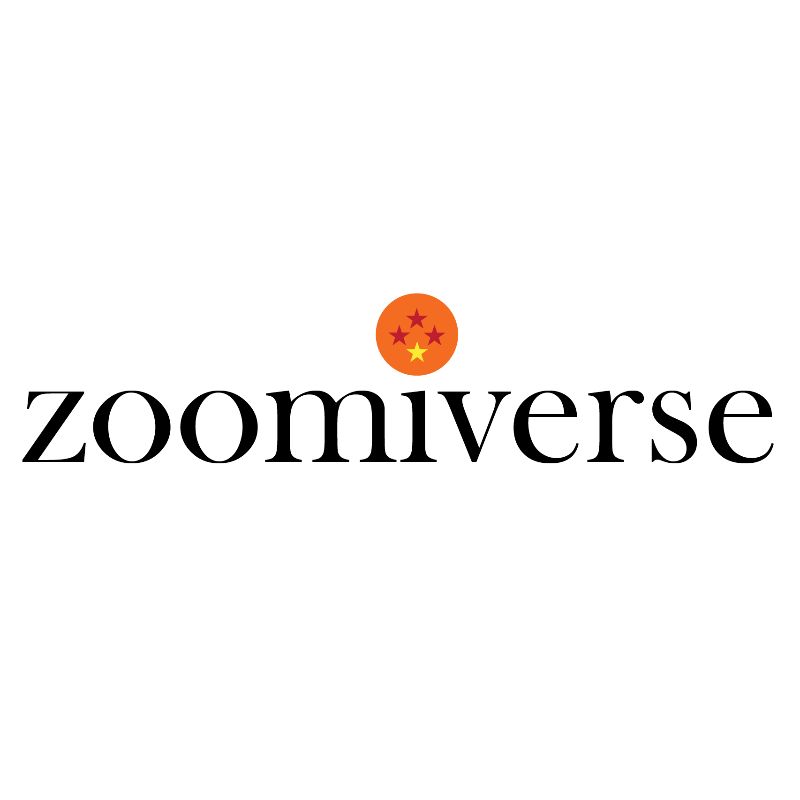 Zoomiverse Branding Cover Photo - The Bull Collective